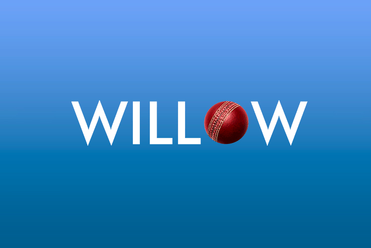 willow- World Cup Live